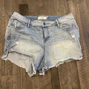 Torrid shorts